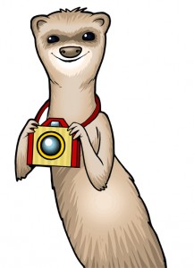 ask Foto Ferret a Question about Playing Viespy ispy